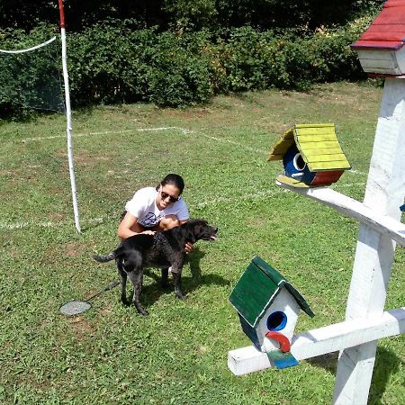Country House Lozanjska Terasa 게스트하우스 외부 사진