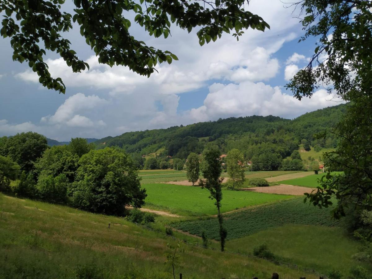 Country House Lozanjska Terasa 게스트하우스 외부 사진